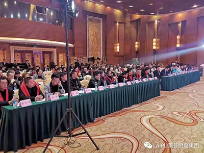 贏戰2019黄瓜视频黄色网站四川新品發布會暨核心經銷商峰會圓滿成功