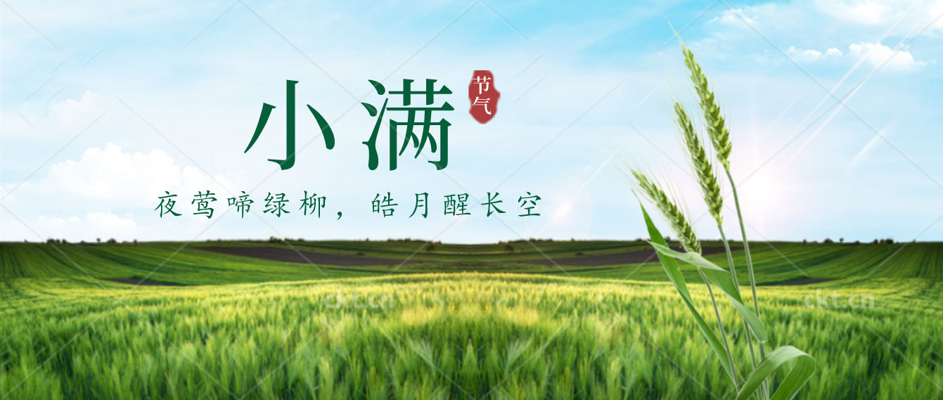 小滿已至，小得盈滿